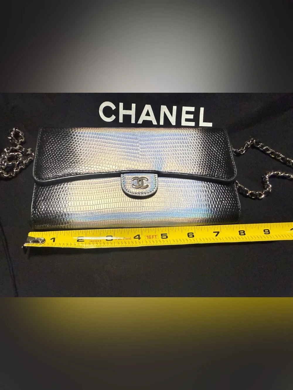 NEW!!! STUNNING! Limited CHANEL Iridescent Ombre Lizard-Texture Chain WOC